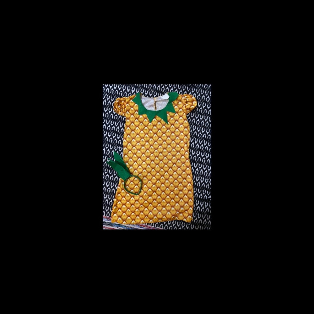 Pineapple costume